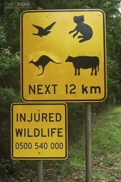 AUS0203_0721_Beware of wildlife (Australia)