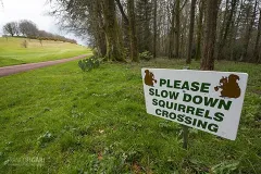 ING0416_0689_Beware of  squirrels (Devon England)