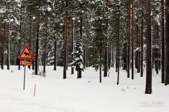 LAP0315_0701_Beware of the elk (Finland)