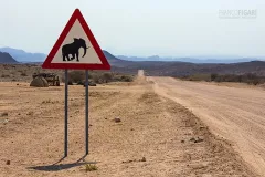 NAM0815_0686_Beware of the elephant (Namibia)