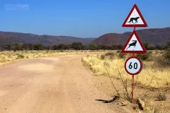 NAM0815_0709_Beware of the cheetah and the kudu (Namibia)