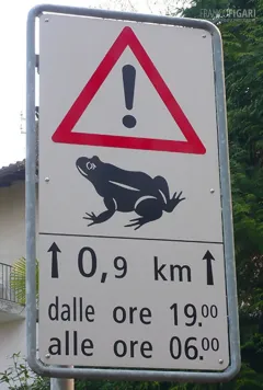 SVI0510_0681_Beware of frogs (Switzerland)