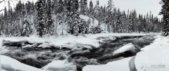 FIN0212_0377_The Aallokkkoski rapids of Kitkajoki river (Northern Finland)