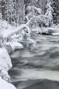 FIN0214_0361_Kitkajoki river in wintertime (Oulanka National Park Northern Finland)