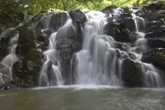 MAU0318_0383_Waterfall in the Vallée des Couleurs (Mauritius)