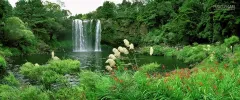 NZE0106_0357_Rainbow falls Bay of Islands (North Island New Zealand)