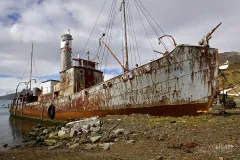 SGE1109_0395_Old rusted whaler in Grytviken Bay (South Georgia)