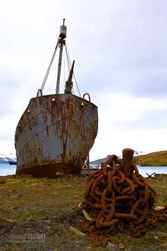 SGE1109_0403_Wreck in Grytviken Bay (South Georgia)