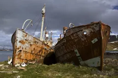 SGE1109_0406_Wrecks in Grytviken Bay (South Georgia)