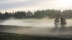 FIN0515_0413_Early morning fog (Finland)