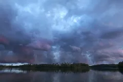 FIN0817_0408_After the storm (Southern Finland)