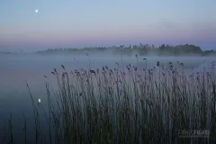FIN0615_0438_Morning fog (Southern Finland)