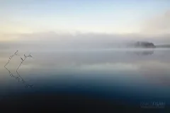 FIN0719_0812_Mist on the lake (Finland)