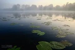 FIN0919_0815_Early morning lights on the lake (Finland)