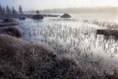 FIN1014_0448_The first winter frosts (Finland)