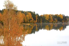 FIN1017_0428_Autumn colours on the lake (Southern Finland)