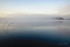 FIN0719_0812_Mist on the lake (Finland)