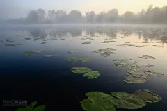 FIN0919_0815_Early morning lights on the lake (Finland)