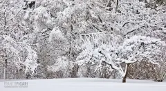 FIN0222_0915_Winter in Southern Finland