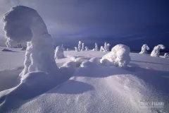 RII0200_0510_Arctic strange sculptures Ice Dragon (Riisitunturi National Park Finland)