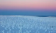 RII0214_0894_Riisitunturi-National-Park-at-sunset-Finland