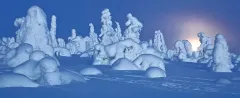 RII0218_0520_Full-moon-in-the-arctic-night-Riisitunturi-National-Park-Finland