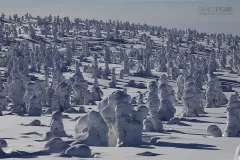 RII0218_0543_The Ice Forest (Riisitunturi National Park)