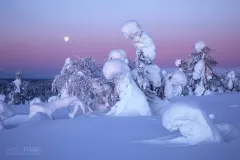 RII0219_0498_Sunrise in lapland (Finland)