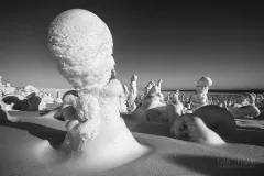 RII0318_0508_Arctic strange sculptures Ice Bald Head (Riisitunturi National Park Finland)