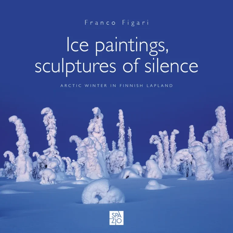 Ice paintings, sculptures of silence